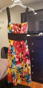 Vibrant Floral mid length Spring/Summer Dress
